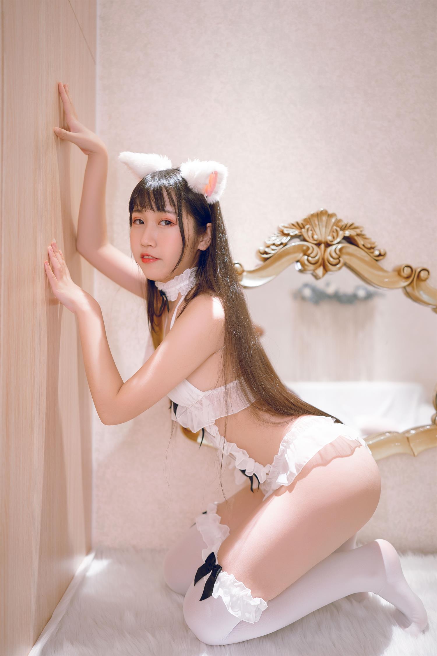 不呆猫 狐狸 [26P-88MB]