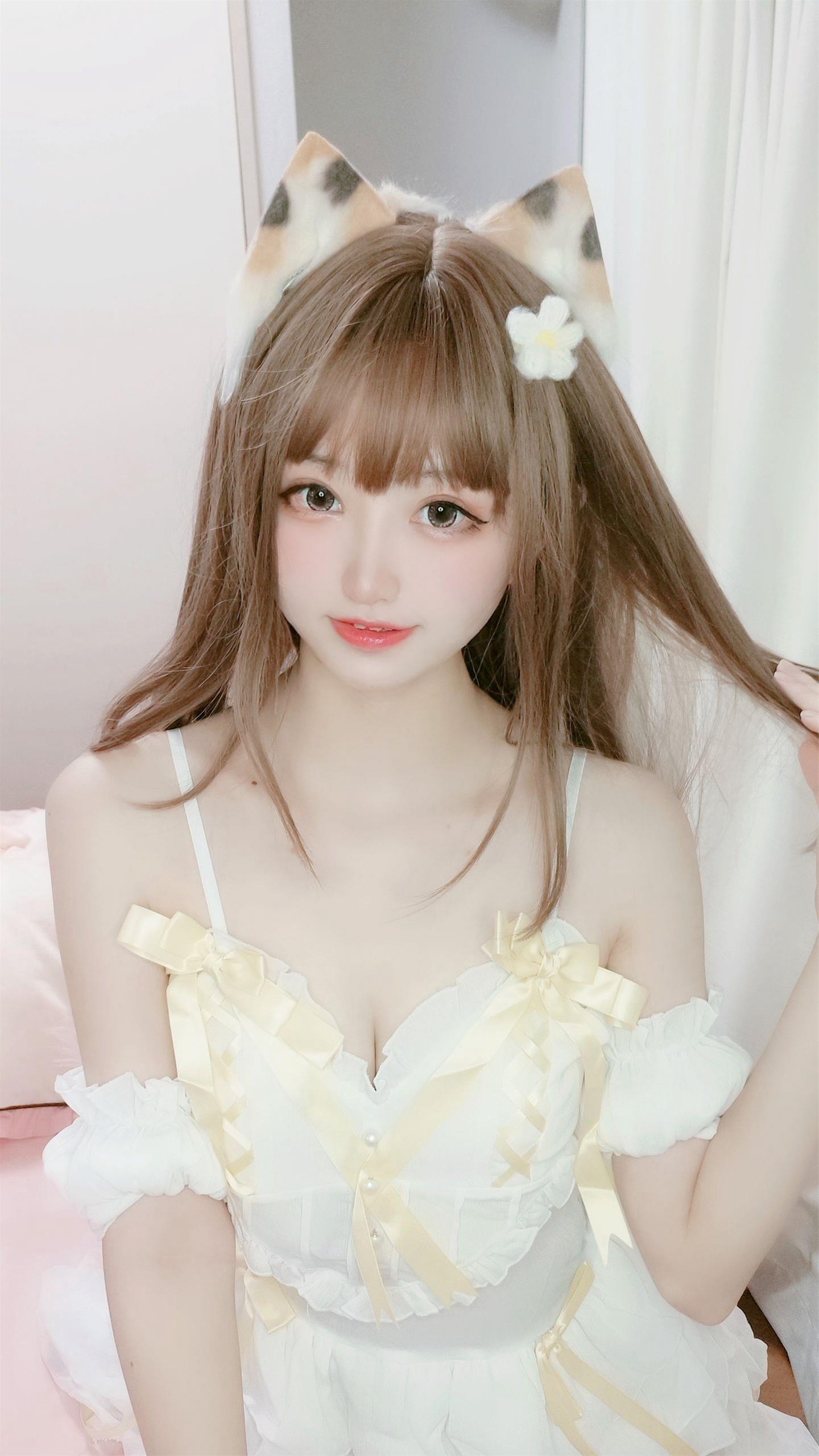 千阳 三花猫～ [12P-12MB]